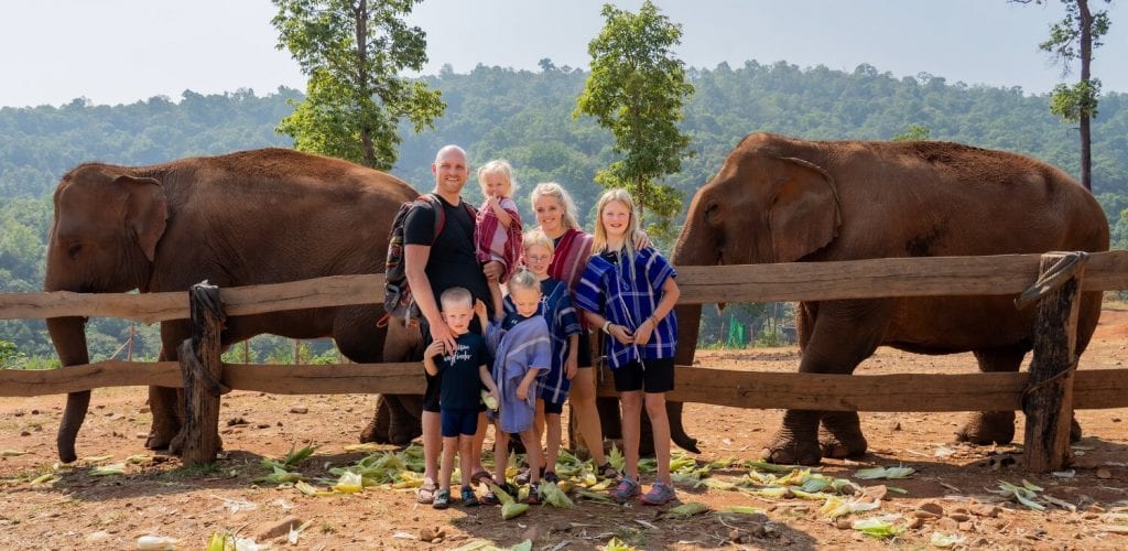 trip around the world- elephants in Thailand